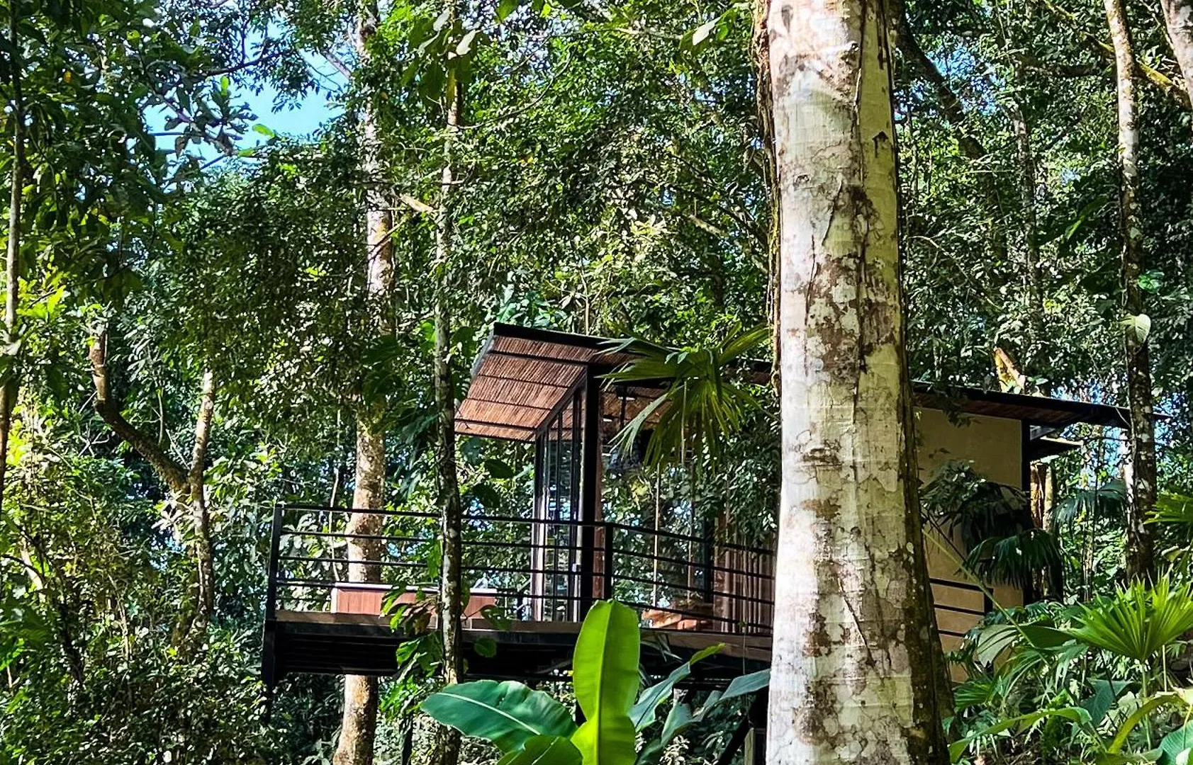 Rincon De La Sierra Minca Hotell